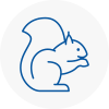 West Sussex Rodent Removals